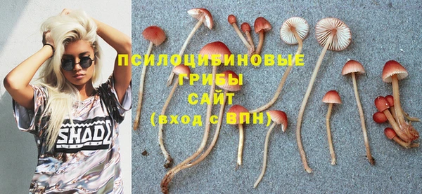 прущая мука Верхний Тагил