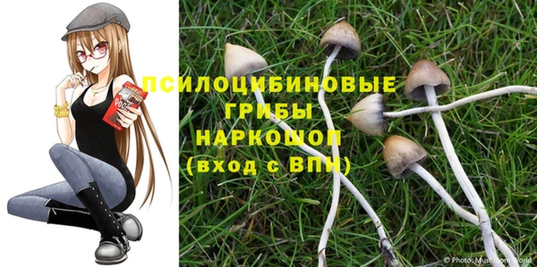 Альфа ПВП Верхнеуральск