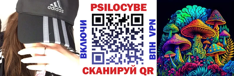 Купить где  Боровск  Галлюциногенные грибы Psilocybe 